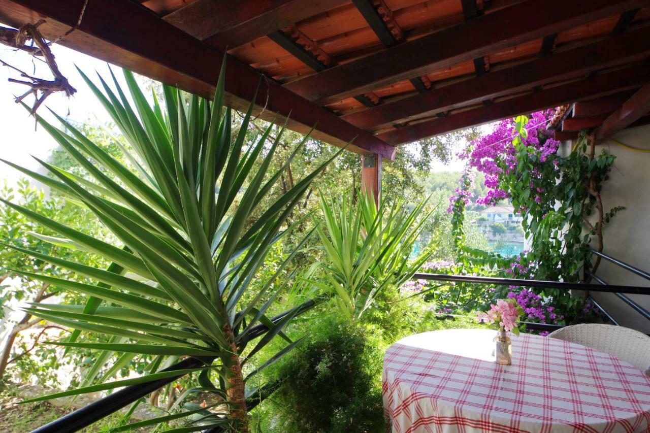 Apartments Villa Hraste Hvar フヴァル 部屋 写真
